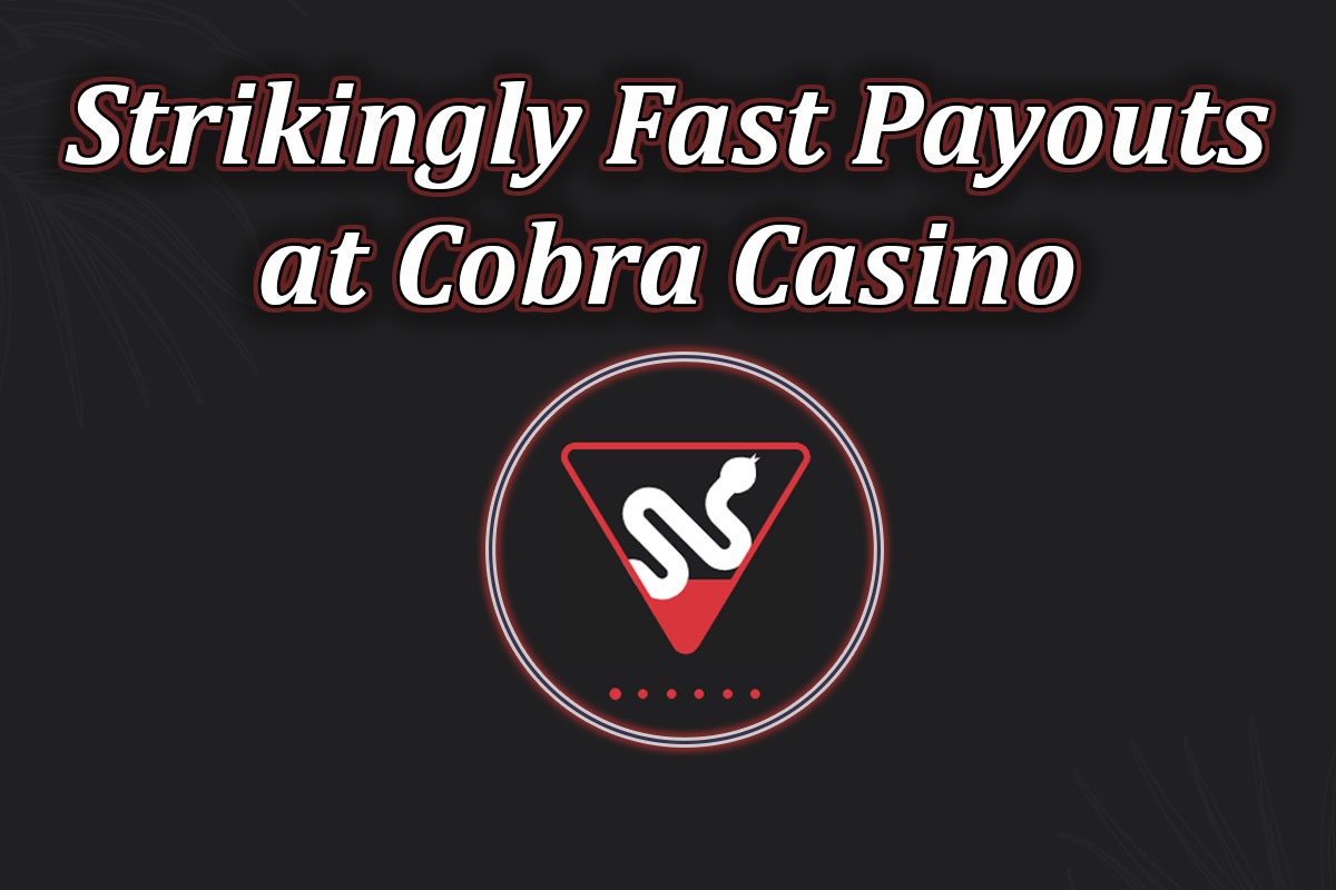 fast payouts cobra casino feature image